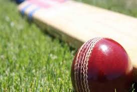 chattarpur, Inter ball cricket tournament,leather ball