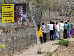 bhopal, 11 tigers, 6 lions , 10 leopards ,Van Vihar