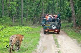 bhopal, Kanha tiger reserve, again open ,for tourists