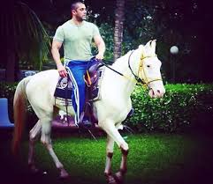 mumbai,Salman Khan ,seen riding, horse in shirtless avatar