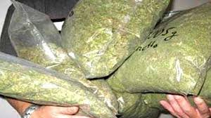 Anuppur, 9.5 kg hemp, recovered from , jeep overturned, field