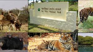bhopal,73 wild animals increase, Van Vihar