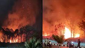bhopal, Two acres , greenery burnt , fire in VIP Road