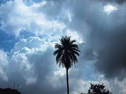 bhopal,possibility of rain, eastern MP ,including Jabalpur