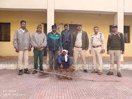 seoni, One arrested , applying current , hunting wildlife