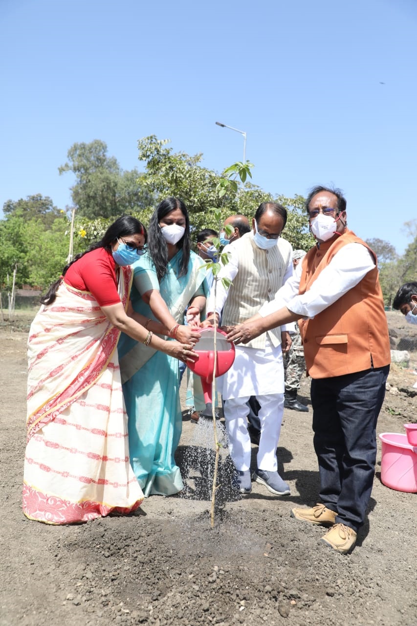 bhopal,CM Chouhan ,planted kadamba, cassia plants