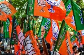bhopal, BJP declared incharge, co-incharge, assembly by-election