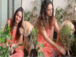 mumbai, Ankita Lokhande, planting plants, memory of Sushant, share photos