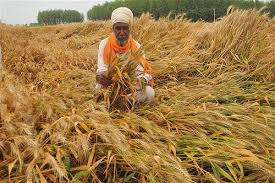 bhopal, Politics should stop on agrarian reform