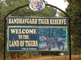 sehdol. Bandhavgarh National Park ,will be open , tourists, October 1