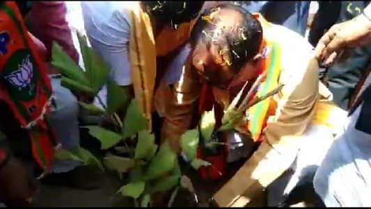 bhopal, CM Shivraj ,planted bamboo plant, Bamboo is useful