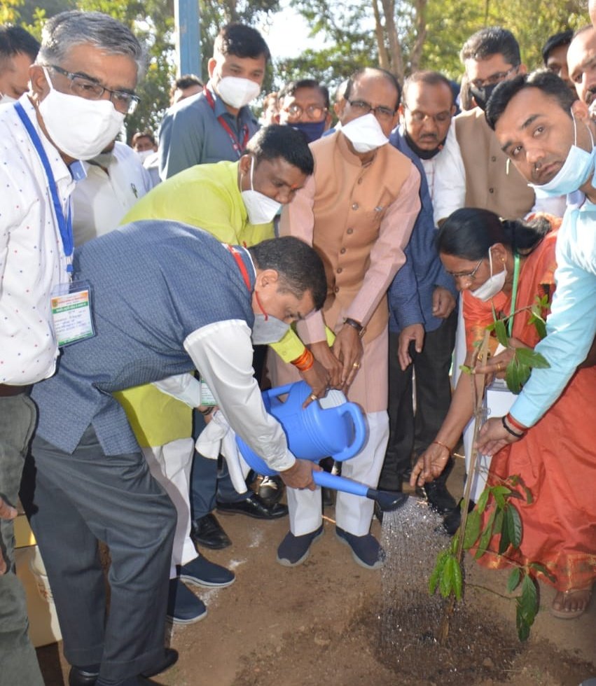 bhopal, Chief Minister Chouhan, planted Rudraksha sapling 