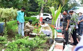 bhopal, Chief Minister Shivraj, planted neem plant , residence