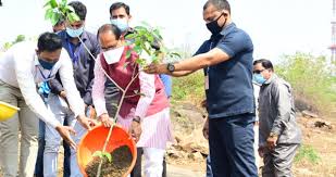 bhopal, CM Shivraj planted, rubber plant,smart garden