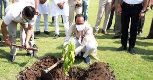 bhopal,CM Shivraj ,planted mango plant , Minto Hall campus