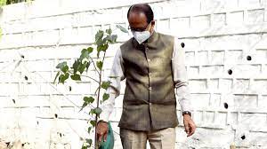 bhopal, Chief Minister, Shivraj Singh Chauhan, planted plant , Paras Peepal