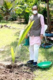 bhopal,Resolution fulfilled, Chief Minister Chouhan, planted coconut plant 
