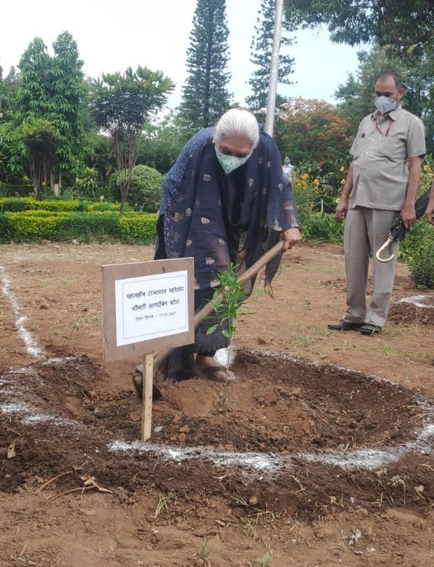 bhopal,Governor Anandiben Patel, planted 80 sandalwood plants, Raj Bhavan complex