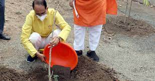 bhopal,Chief Minister Chouhan, planted Akash-neem plant