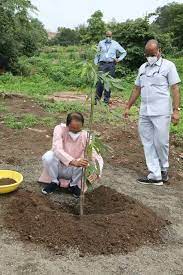 bhopal,Chief Minister Shivraj ,planted Ashoka sapling, Smart Park