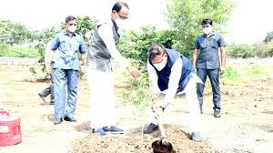 bhopal,Chief Minister planted , plant of Ficus