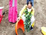 bhopal, Chief Minister, planted Ficus plant, Smart Garden