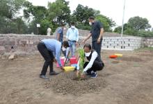 bhopal, CM Shivraj planted, saptaparni plant , Smart Park