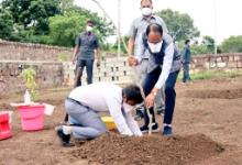 bhopal, CM Shivraj planted ,Gulmohar plant, Smart Garden