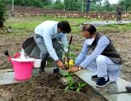 bhopal,CM Shivraj planted ,sycamore plant , Smart Park