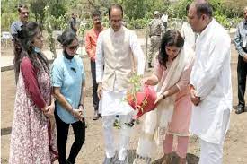 bhopal, Chief Minister Chouhan, planted saplings 