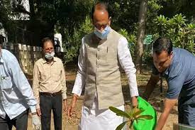 bhopal, Chief Minister Chouhan, planted a sapling 