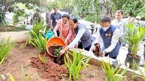 bhopal, Chief Minister Chouhan, planted saplings