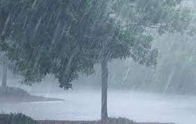 17 साल में पहली बार जुलाई में मध्यप्रदेश के भोपाल में दो बार 4.5 इंच से ज्यादा बारिश