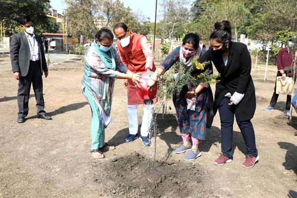 bhopal,Chief Minister ,Shivraj Singh Chouhan, planted saplings 