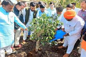 bhopal,Minister Dang ,celebrated his birthday, planting saplings