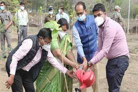 bhopal, CM Shivraj planted ,almond and cassia plants ,smart garden
