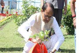 bhopal,Chief Minister Chouhan, planted a plant , Mogra 