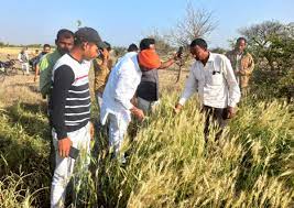 bhopal, Minister Hardeep Singh Dung ,took stock , crop damage