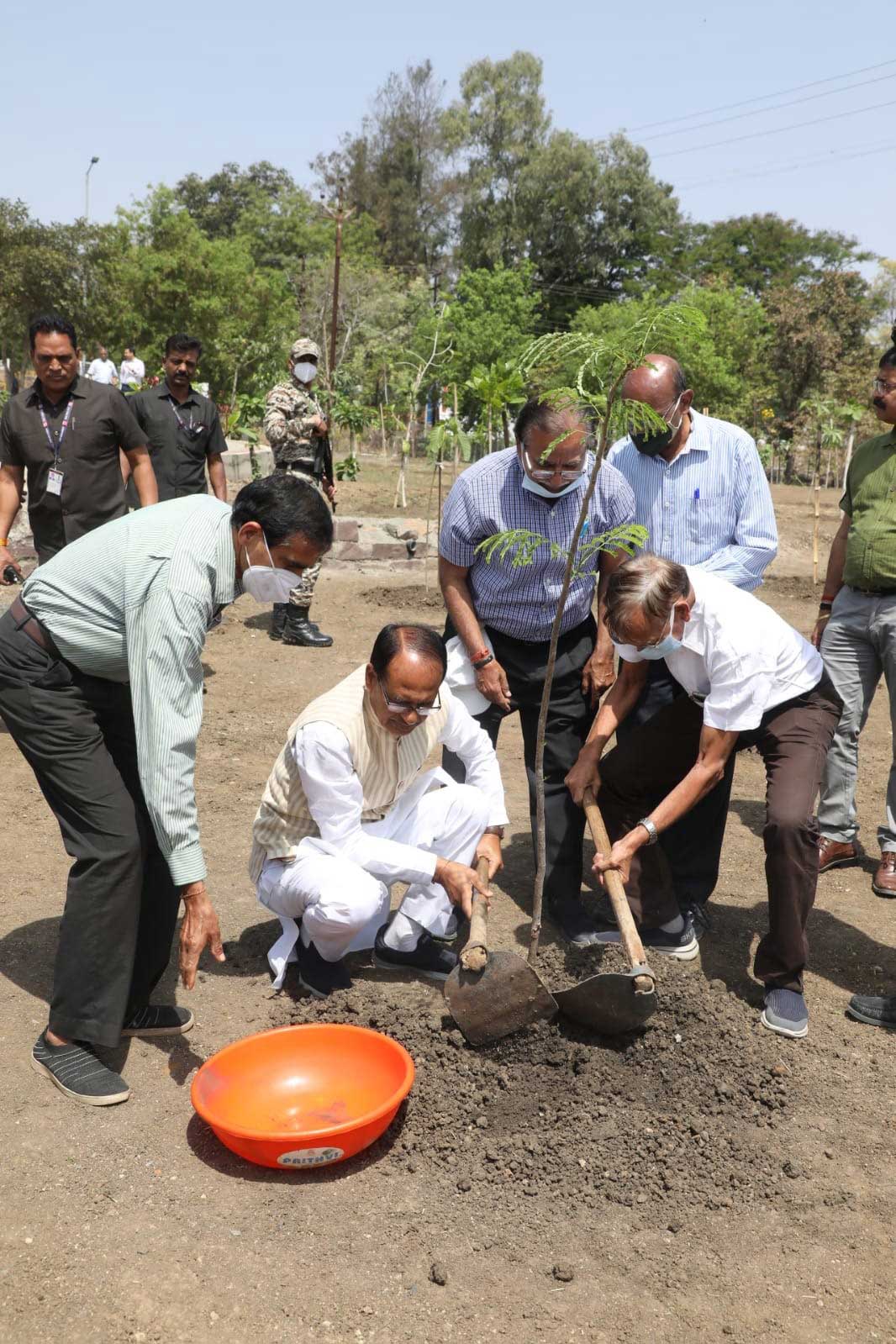 bhopal, Chief Minister Chouhan, planted Gulmohar , Saptparni saplings 