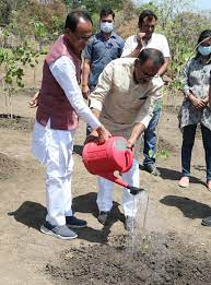 bhopal,Chief Minister Chouhan, planted saplings 