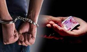 rewa,Patwari caught, red handed ,taking bribe 