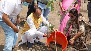 bhopal, Chief Minister Chouhan, planted plants 