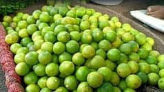 bhopal,Did you read ,news of lemon theft 