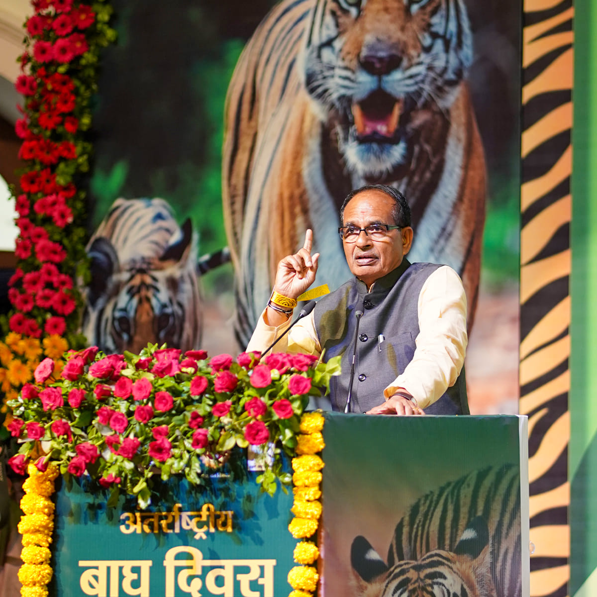 भारत सरकार ने जारी किये बाघों के आंकड़े
