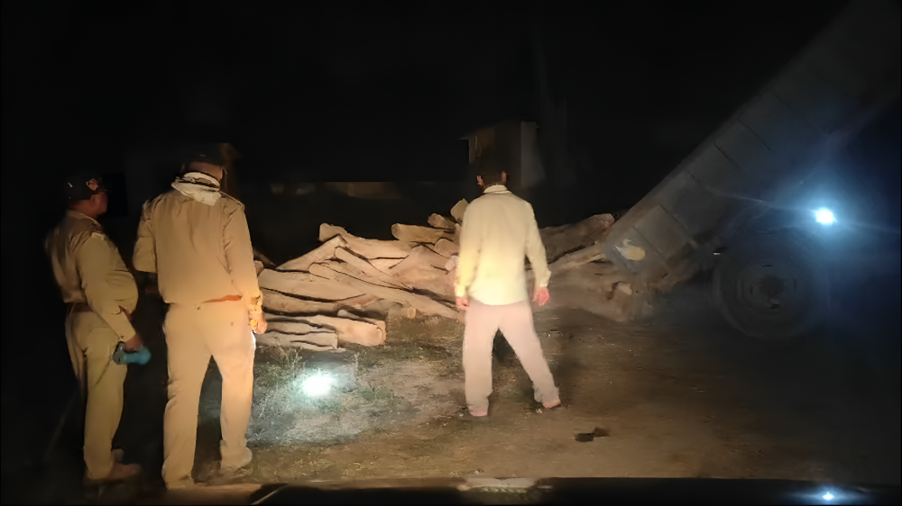 पुलिस ने लाखों रुपए की लकड़ी पकड़ी 