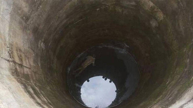 Woman jumps into well with 