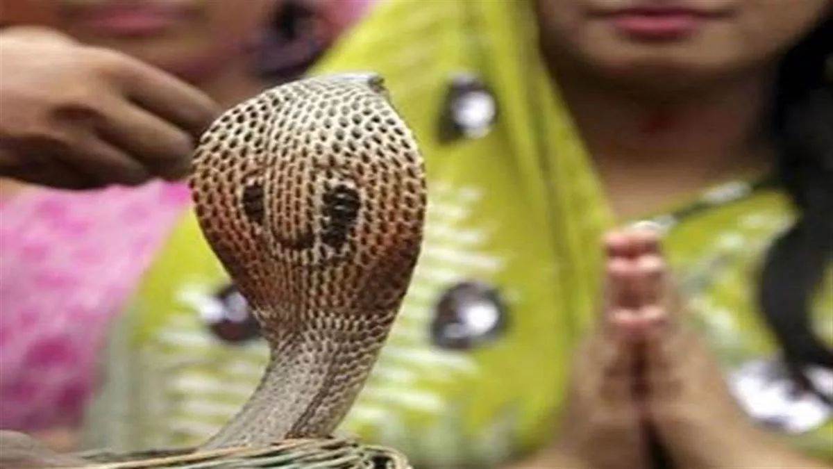 3 rare coincidences on Nag Panchami