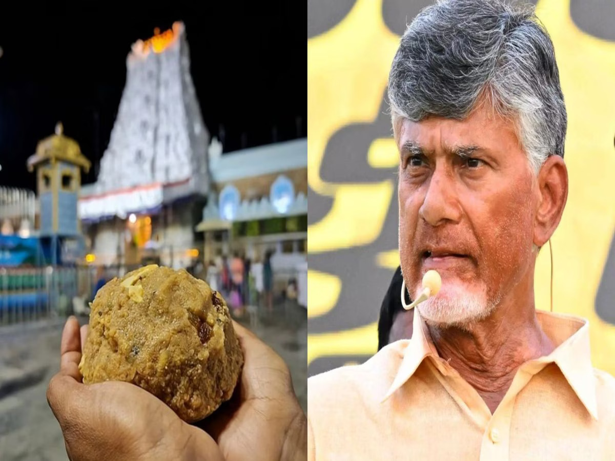 Tirupati laddu contained animal fat