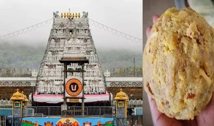 Tirupati temple management