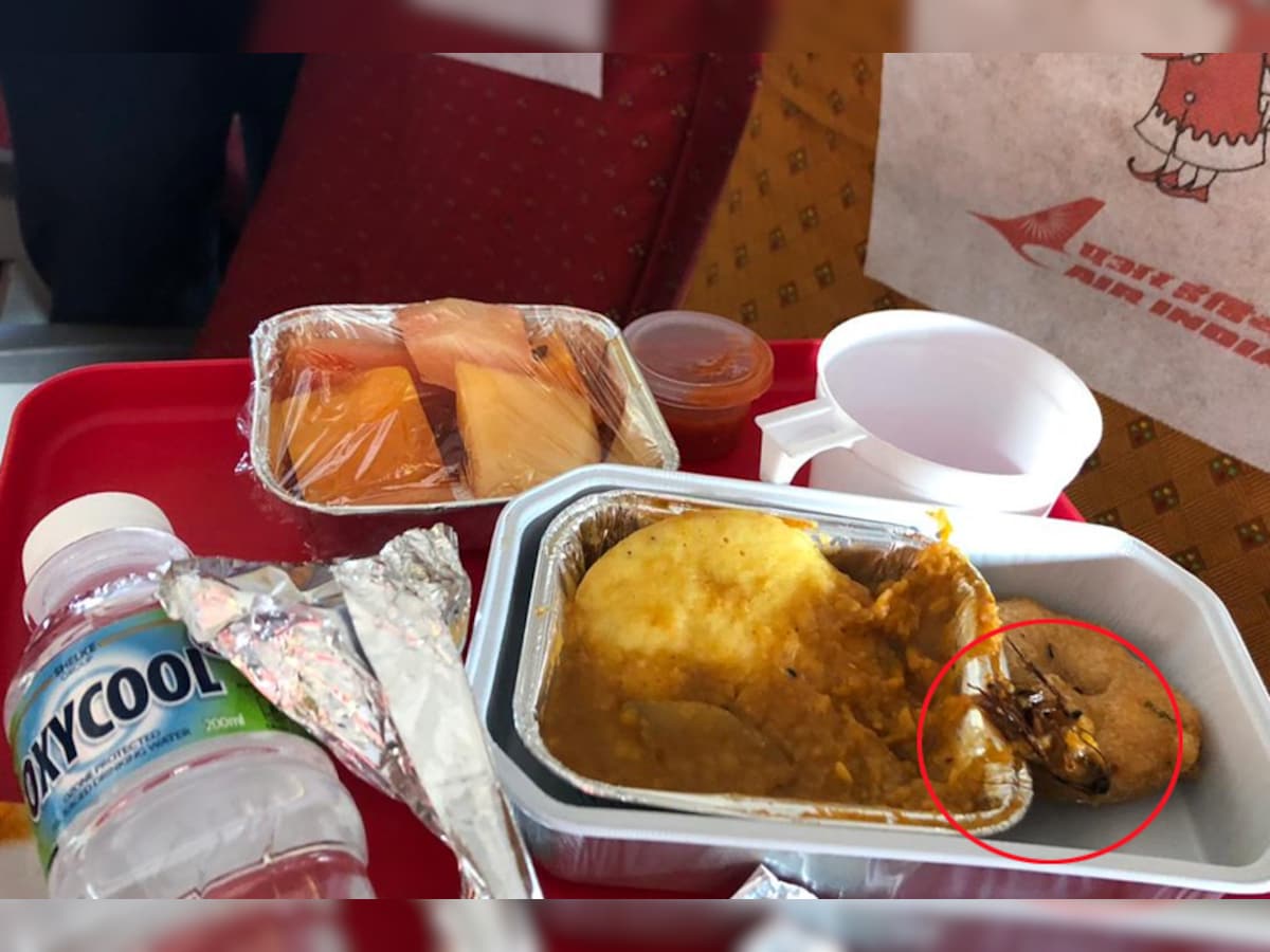 Cockroach found in food on Air India flight